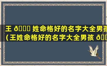 王 🐋 姓命格好的名字大全男孩（王姓命格好的名字大全男孩 🐱 四个字）